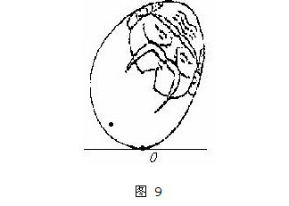 2010中考物理复习专题：作图9