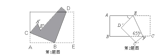 中考数学重难点第一讲 ——折叠剪切问题2