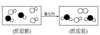 中考化学易错、疑难、遗漏题整编5