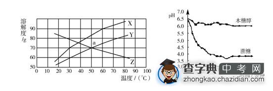 中考化学热点分析：了解木糖醇1