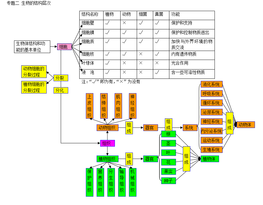 生物思维导图:生物的结构层次专题1