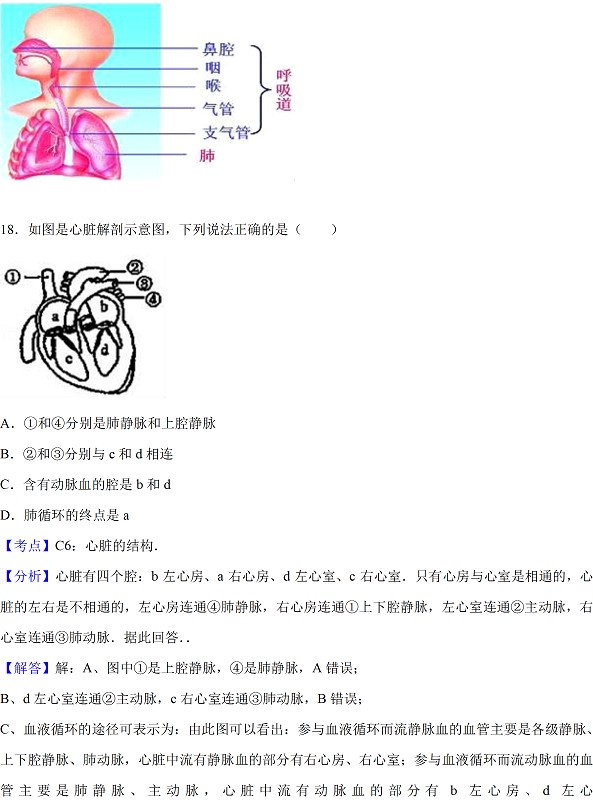 广东省2017年中考生物试题及答案18