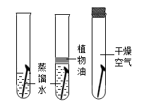 2019年中考化学实验过程复习:铁制品锈蚀条件1